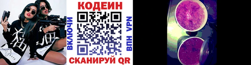 Купить где  Каменск-Шахтинский  Кодеин Purple Drank 